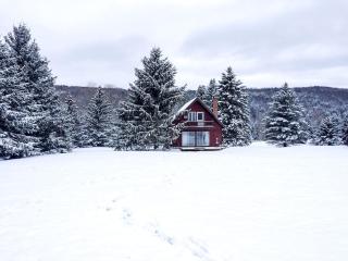 Rustic Cabin Rental with a Hot Tub near Windham, New York - Windham - 9