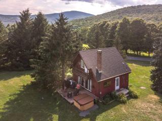 Rustic Cabin Rental with a Hot Tub near Windham, New York - Windham - 4