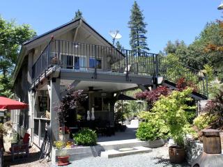 Stylish Art Deco Vacation Rental in Sierra Foothills, California - Nevada City - 9