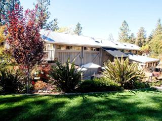 Stylish Art Deco Vacation Rental in Sierra Foothills, California - Nevada City - 7