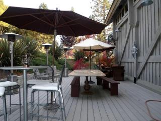 Stylish Art Deco Vacation Rental in Sierra Foothills, California - Nevada City - 6