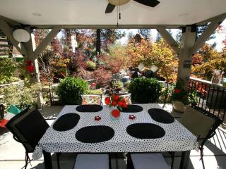 Stylish Art Deco Vacation Rental in Sierra Foothills, California - Nevada City - 3