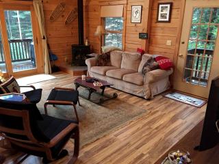 Cozy Log Cabin Rental near Lake George in Chestertown, New York - Chestertown - 7