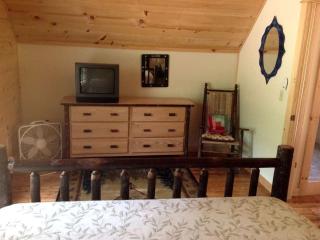 Cozy Log Cabin Rental near Lake George in Chestertown, New York - Chestertown - 5