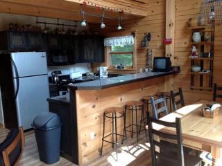 Cozy Log Cabin Rental near Lake George in Chestertown, New York - 7