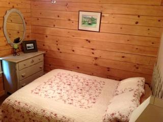 Cozy Log Cabin Rental near Lake George in Chestertown, New York - Chestertown - 2