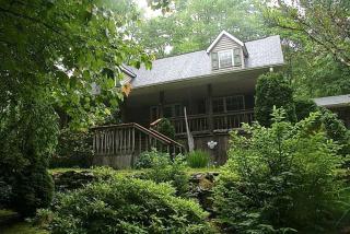Simple Camping Cabin on Eight Private Forested Acres near Brevard, North Carolina - Brevard - 9