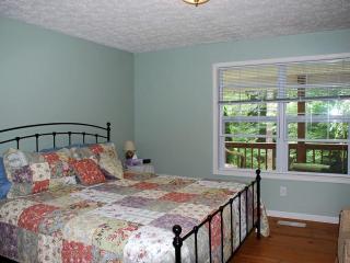Simple Camping Cabin on Eight Private Forested Acres near Brevard, North Carolina - Brevard - 4