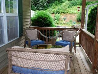 Simple Camping Cabin on Eight Private Forested Acres near Brevard, North Carolina - Brevard - 3
