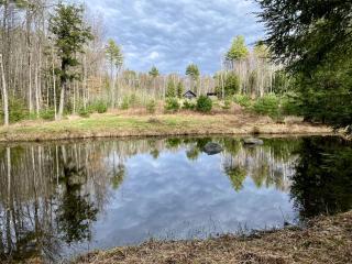 Impressive New York Cabin Getaway in the Adirondack Mountains - Chestertown - 5