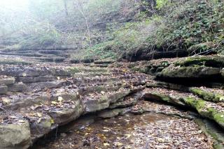 Cottage Rental Perched Atop the Palisades Overlooking Kentucky River - Harrodsburg - 1