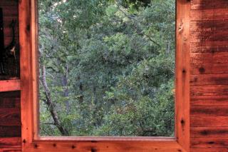 Charming Camping Cabin Rental with Enchanting Views in College Station, Texas - College Station - 5