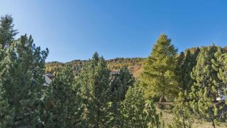 Chesa Sarvit 1 - Trilocale - Celerina - 5