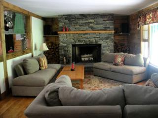 Bed and Breakfast Cabin for Weekend Getaway near Millbrook, New York - Dover Plains - 7