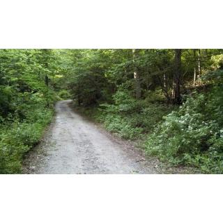 Romantic Cabin in the Woods with Private Hot Tub, near Asheville, North Carolina - Hendersonville - 4