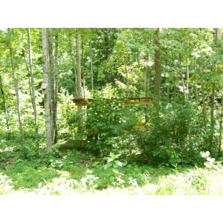 Romantic Cabin in the Woods with Private Hot Tub, near Asheville, North Carolina - Hendersonville - 3