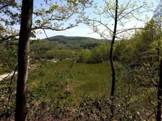 Romantic Cabin in the Woods with Private Hot Tub, near Asheville, North Carolina - Hendersonville - 2