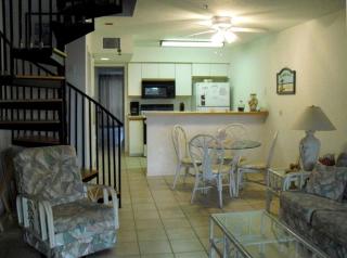 Beachfront Getaway with Pool on Little Gasparilla Island off of Florida - Placida - 9