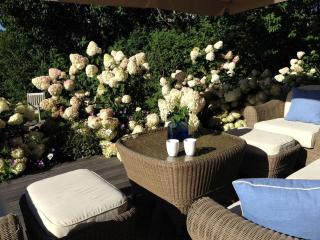 Charming Vacation Rental with Ocean Views on Nantucket Island in Massachusetts - Nantucket - 6