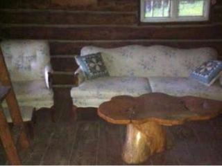 Pet-Friendly Rustic Cabin on Grafton Mountain, New York - - 7