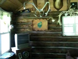 Pet-Friendly Rustic Cabin on Grafton Mountain, New York - - 6