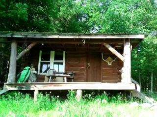 Pet-Friendly Rustic Cabin on Grafton Mountain, New York - - 4
