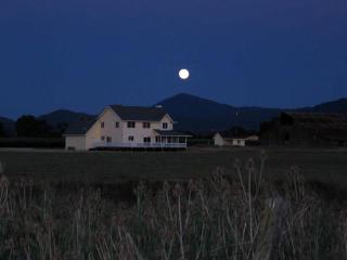 Luxury Chic Farm Cottage in Wine Country, California - Lakeport - 3