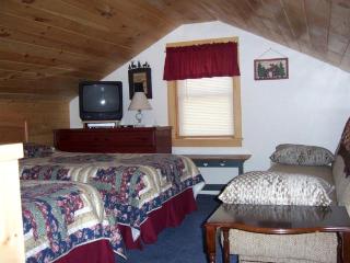 Adirondack Getaway near many Outdoor Activities in Old Forge, New York - Old Forge - 7