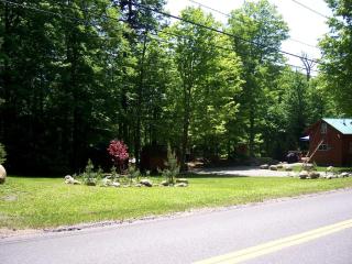 Adirondack Getaway near many Outdoor Activities in Old Forge, New York - Old Forge - 3