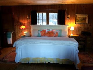 Cozy Cottage Rental with Lake Views near Okemo State Forest, Vermont - Plymouth - 8