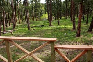 Secluded Mountain Cabin in the Quiet Woodlands near Douglas, Wyoming - Douglas - 1