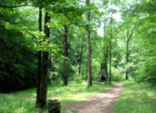 Romantic Escape Ideal for Couples in Catskill Mountains Forest Reserve, New York - Arkville - 1