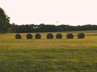 Gorgeous Country Cottage for a Farm Getaway in Cookeville, Tennessee - Cookeville - 7