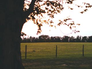 Gorgeous Country Cottage for a Farm Getaway in Cookeville, Tennessee - Cookeville - 3