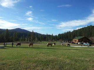 Peaceful Room in All-Inclusive Lodge on Traditional Ranch in Washington State - Republic - 4
