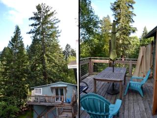 Beautiful Cottage Rental with Private River Beach on the Russian River, California - Forestville - 9