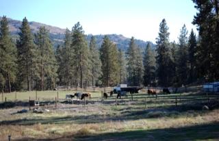 Comfortable Room Rental for Authentic Ranch Stay in Washington State - Republic - 4
