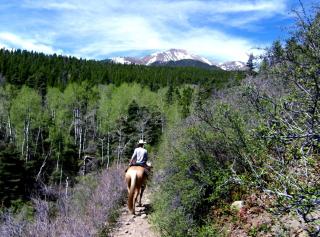 Idyllic Ranch Rental for Weddings and Events in Westcliffe, Colorado - Westcliffe - 2