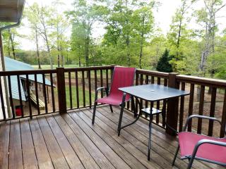 Amazing Cabin Rental on 22-Acre Horse Farm near Tryon International Equestrian Center, South Carolina - Landrum - 8