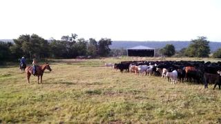 Simple Vacation Rental for Couples near Clayton, Oklahoma - Clayton - 4