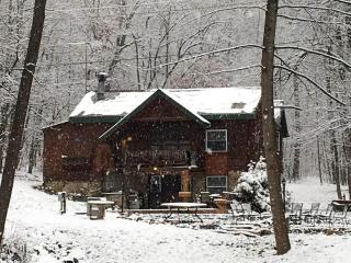 Secluded Cabin Close to the Shenandoah River in Shenandoah, Virginia - Shenandoah - 0