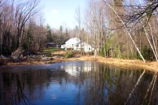 Secluded Cottage Rental in the Woods in Stony Creek, New York - Stony Creek - 0