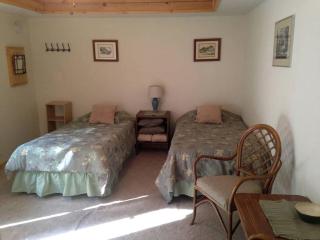 Secluded Cottage Rental in the Woods in Stony Creek, New York - Stony Creek - 9