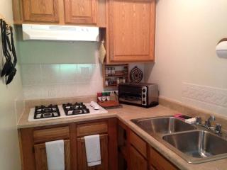Secluded Cottage Rental in the Woods in Stony Creek, New York - Stony Creek - 7