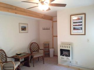 Secluded Cottage Rental in the Woods in Stony Creek, New York - Stony Creek - 6
