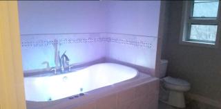 Regal Romantic Getaway with a Jacuzzi in Roan Mountain, Tennessee - Roan Mountain - 1