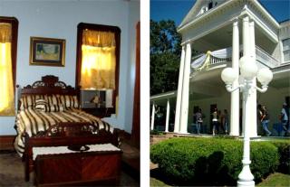 Charming Suite Rental at Bed and Breakfast near New Orleans, Louisiana - Amite - 9
