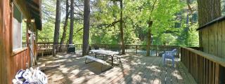 Beautiful Riverfront Cabin with Barbecue in Castella, California - Dunsmuir - 1