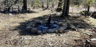 Rustic Cabin Rental with Views of Lake Superior in Minnesota - Lutsen - 1