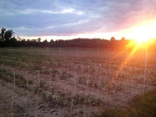 Private Vacation Rental on a Historic 19th Century Farm near Danville, Virginia - 2